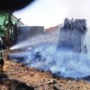 Petugas saat memedamkan pohon beringin yang terbakar.